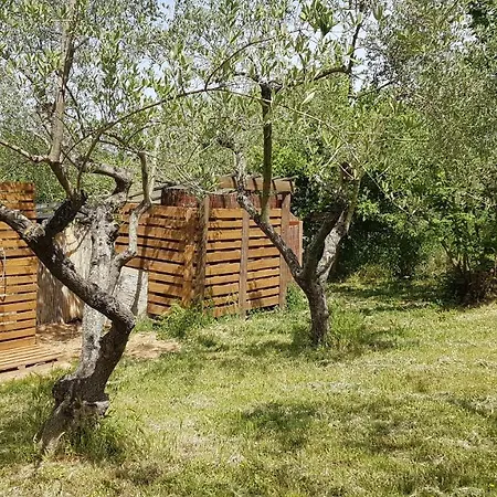 Holiday home Con Biolago - Downstairs *